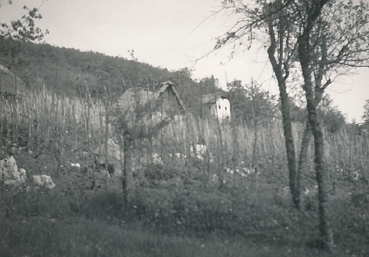eika image